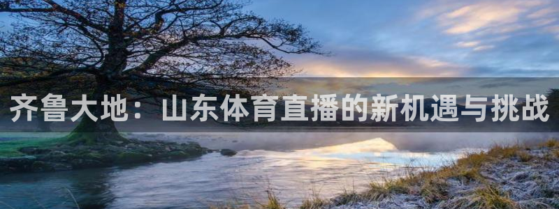 齐鲁大地：山东体育直播的新机遇与挑战