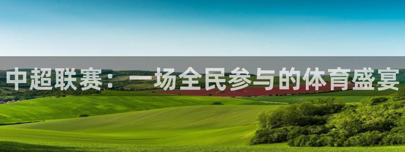 中超联赛：一场全民参与的体育盛宴